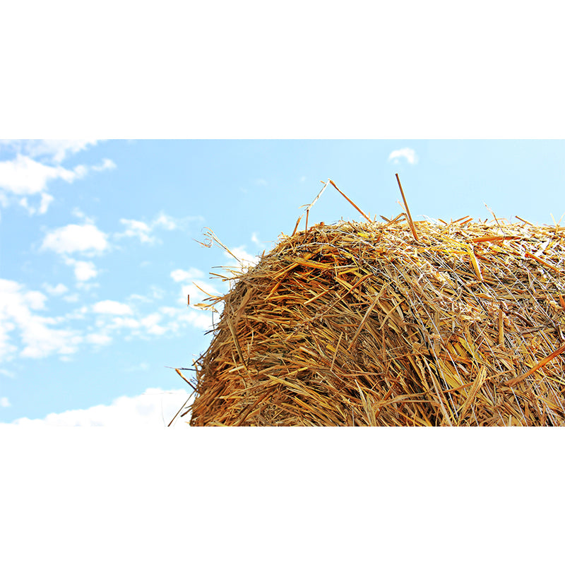 Photo Print Straws Wall Mural Decal for Dining Room, Light Color, Custom Size Available