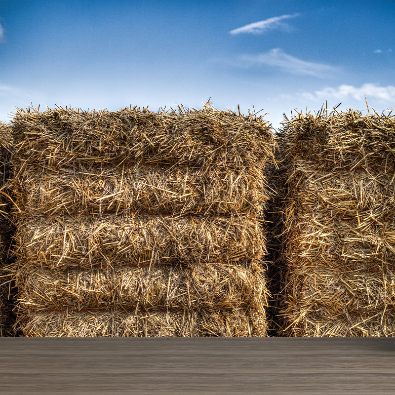 Modern Scenery Stacked Hay Mural Dark Color Stained Resistant Wall Art for Bedroom