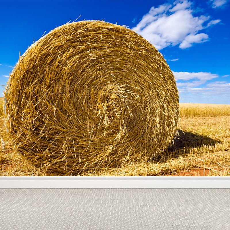 Moisture Resistant Hay Roll Mural Personalized Modern Wall Covering for House Interior
