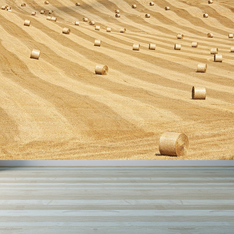 Moisture Resistant Hay Roll Mural Personalized Modern Wall Covering for House Interior