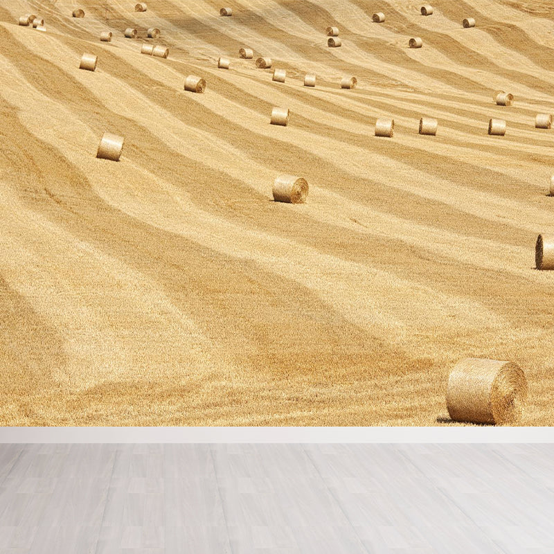 Moisture Resistant Hay Roll Mural Personalized Modern Wall Covering for House Interior