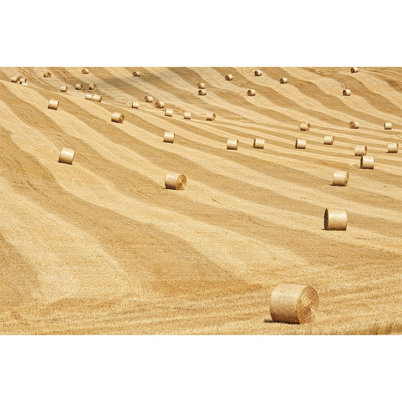 Moisture Resistant Hay Roll Mural Personalized Modern Wall Covering for House Interior