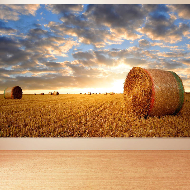 Moisture Resistant Hay Roll Mural Personalized Modern Wall Covering for House Interior