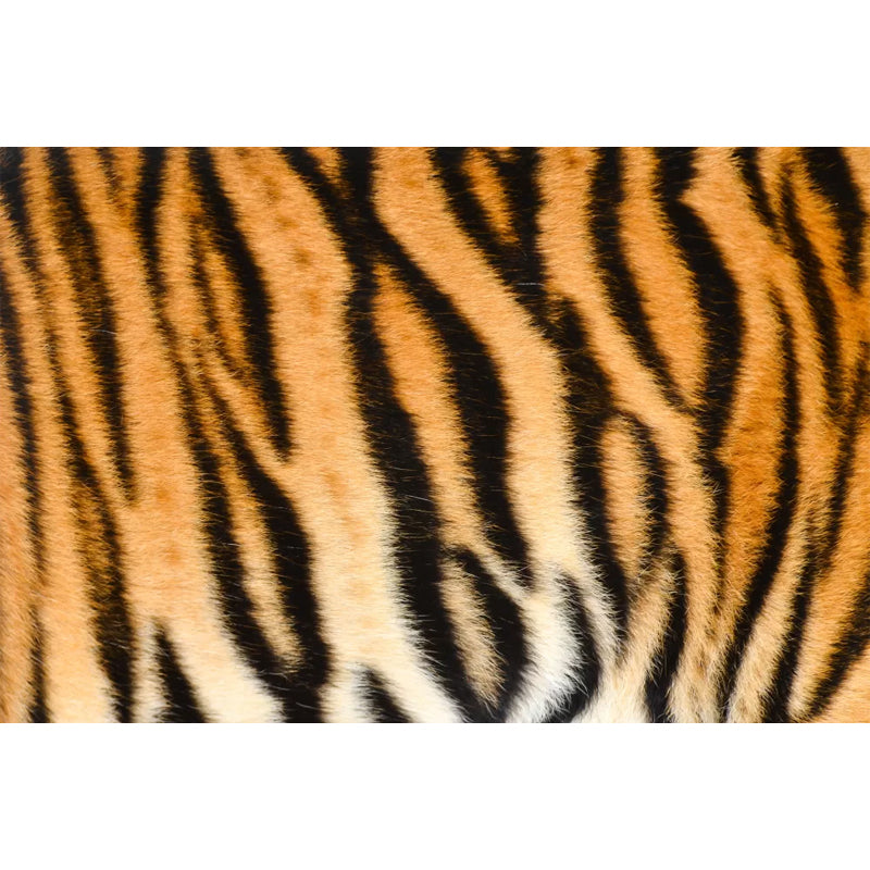 Wild Animal Skin Pattern Mural Modern Waterproof Boys Bedroom Wall Decor, Custom Size