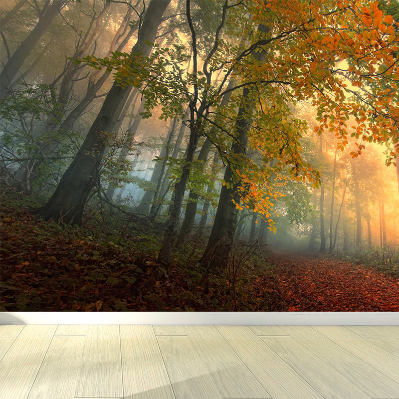 Misty Forest Landscape Wallpaper Mural Contemporary Smooth Wall Covering in Dark Color