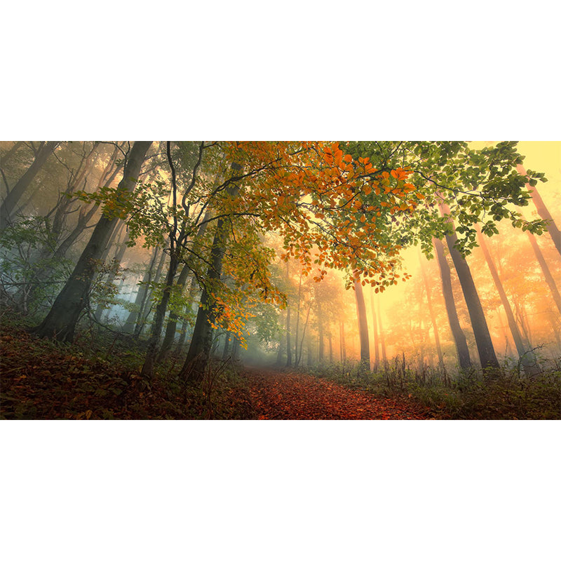 Misty Forest Landscape Wallpaper Mural Contemporary Smooth Wall Covering in Dark Color