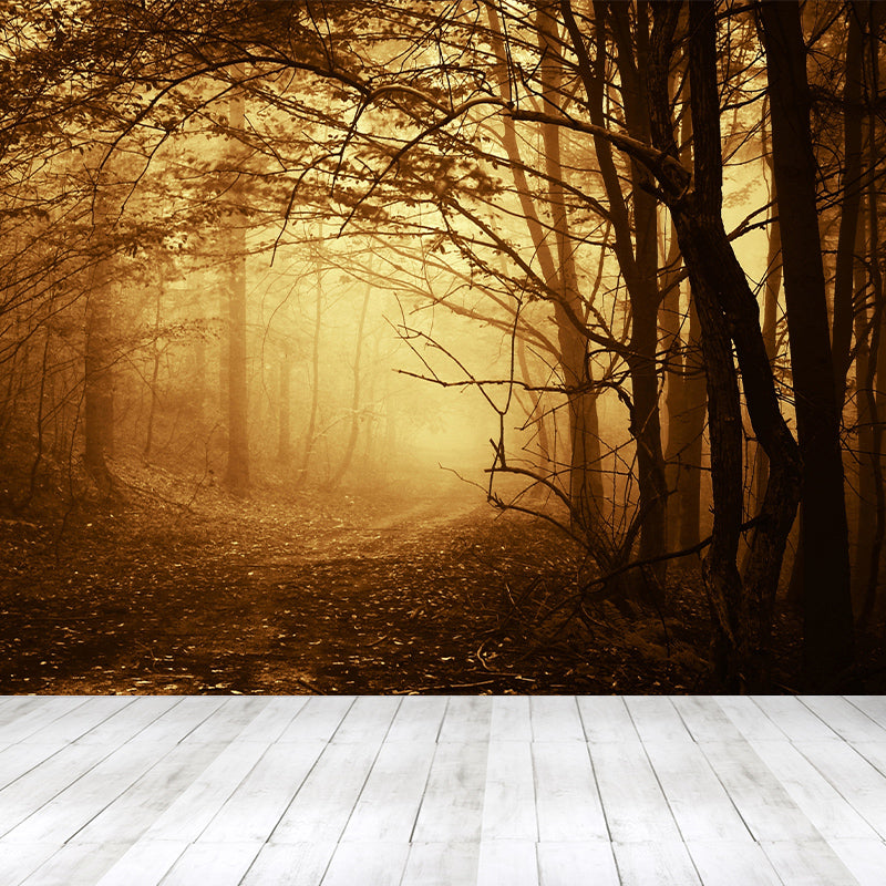 Dark Foggy Forest Mural Wallpaper Scenery Modern Waterproof Wall Art for Bedroom