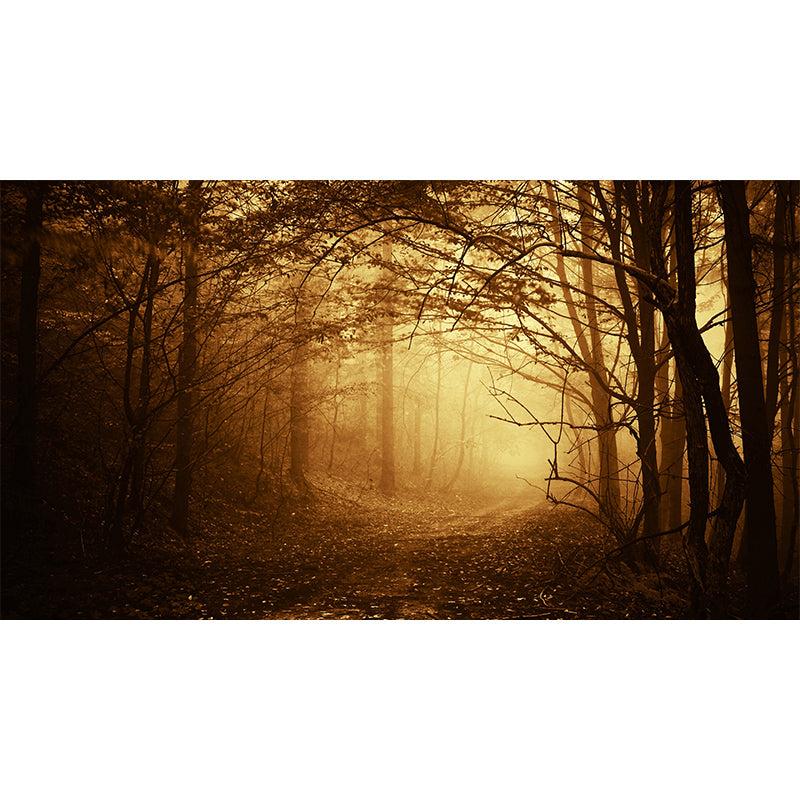 Dark Foggy Forest Mural Wallpaper Scenery Modern Waterproof Wall Art for Bedroom