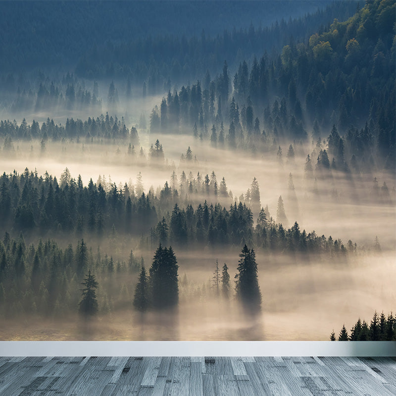 Photographic Misty Forest Wall Mural Big Wall Decor for House Interior, Custom Size