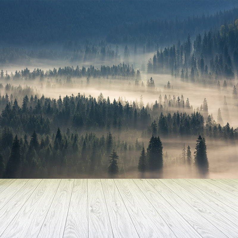 Photographic Misty Forest Wall Mural Big Wall Decor for House Interior, Custom Size