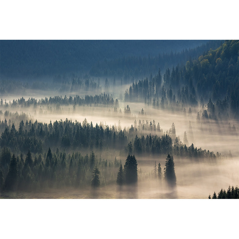Photographic Misty Forest Wall Mural Big Wall Decor for House Interior, Custom Size