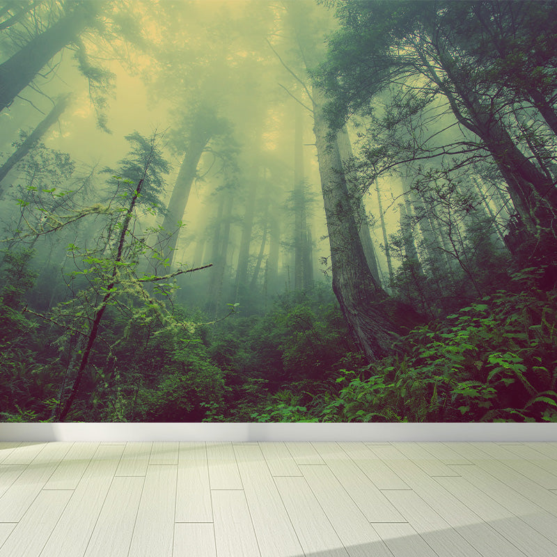 Cloudy Forest Landscape Mural Decal Contemporary Non-Woven Wall Covering in Soft Color