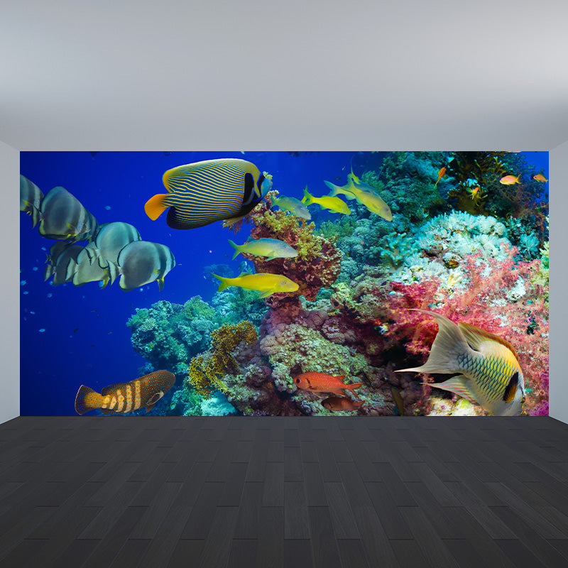 Tropical Underwater World Wallpaper Mural Colorful Moisture Resistant Wall Covering for Kids Room
