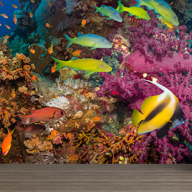 Tropical Underwater World Wallpaper Mural Colorful Moisture Resistant Wall Covering for Kids Room