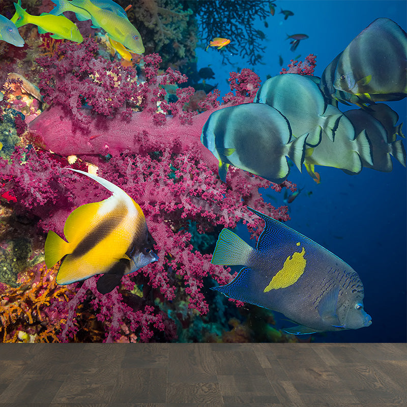 Tropical Underwater World Wallpaper Mural Colorful Moisture Resistant Wall Covering for Kids Room