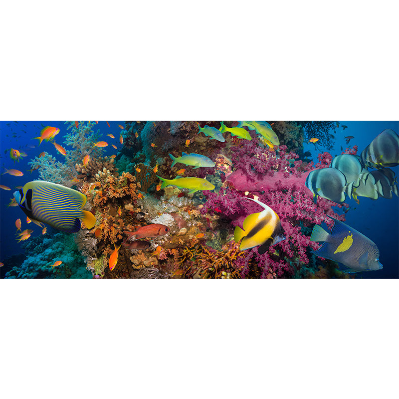 Tropical Underwater World Wallpaper Mural Colorful Moisture Resistant Wall Covering for Kids Room