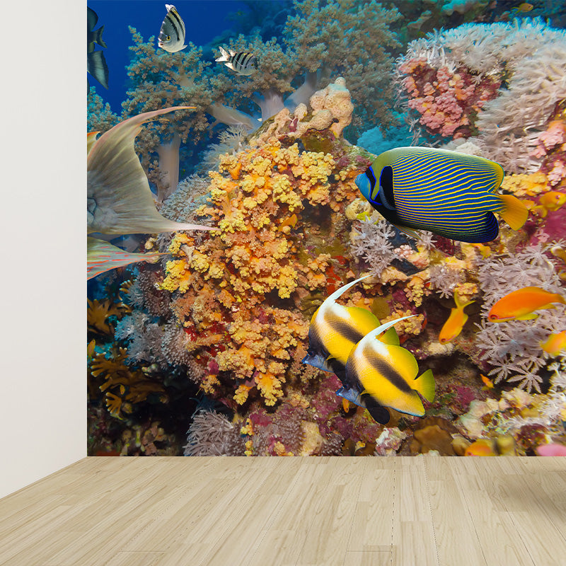 Tropical Underwater World Wallpaper Mural Colorful Moisture Resistant Wall Covering for Kids Room