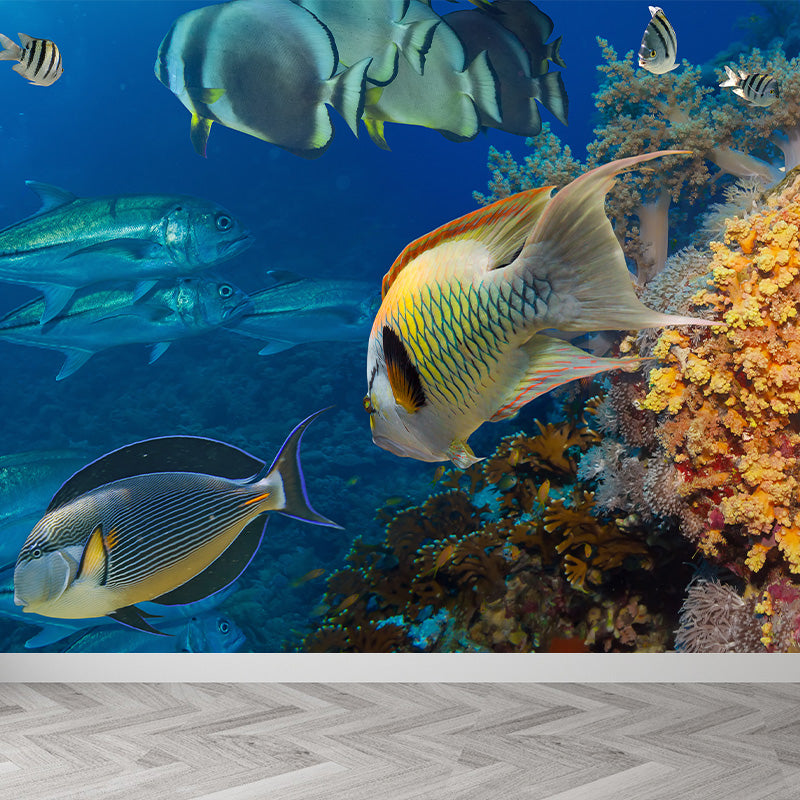 Tropical Underwater World Wallpaper Mural Colorful Moisture Resistant Wall Covering for Kids Room