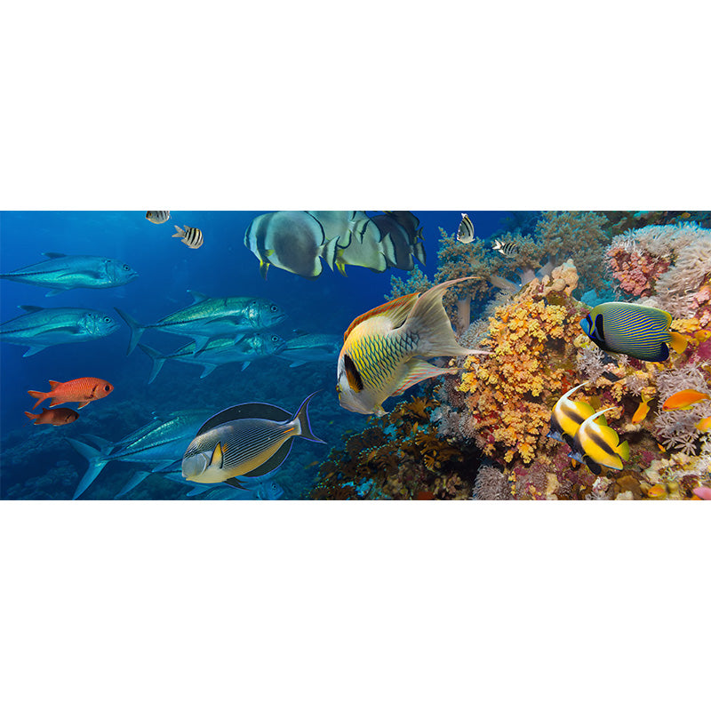 Tropical Underwater World Wallpaper Mural Colorful Moisture Resistant Wall Covering for Kids Room