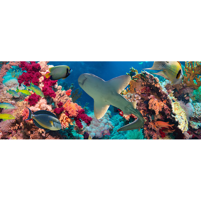 Tropical Underwater World Wallpaper Mural Colorful Moisture Resistant Wall Covering for Kids Room