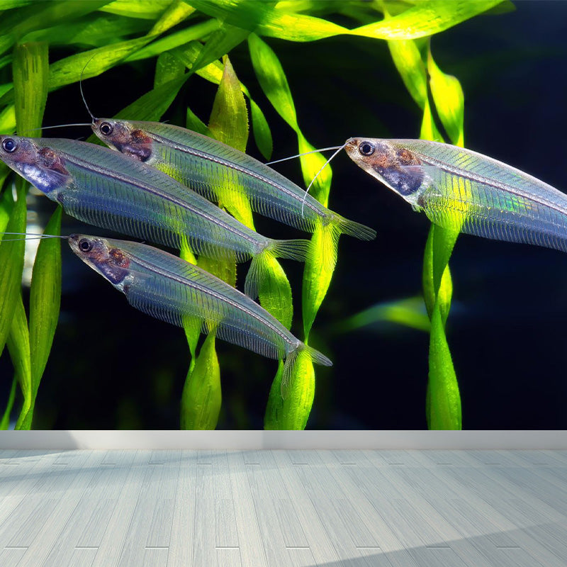 Stunning Underwater World Mural Child Bedroom Seascape Wall Art, Made to Measure