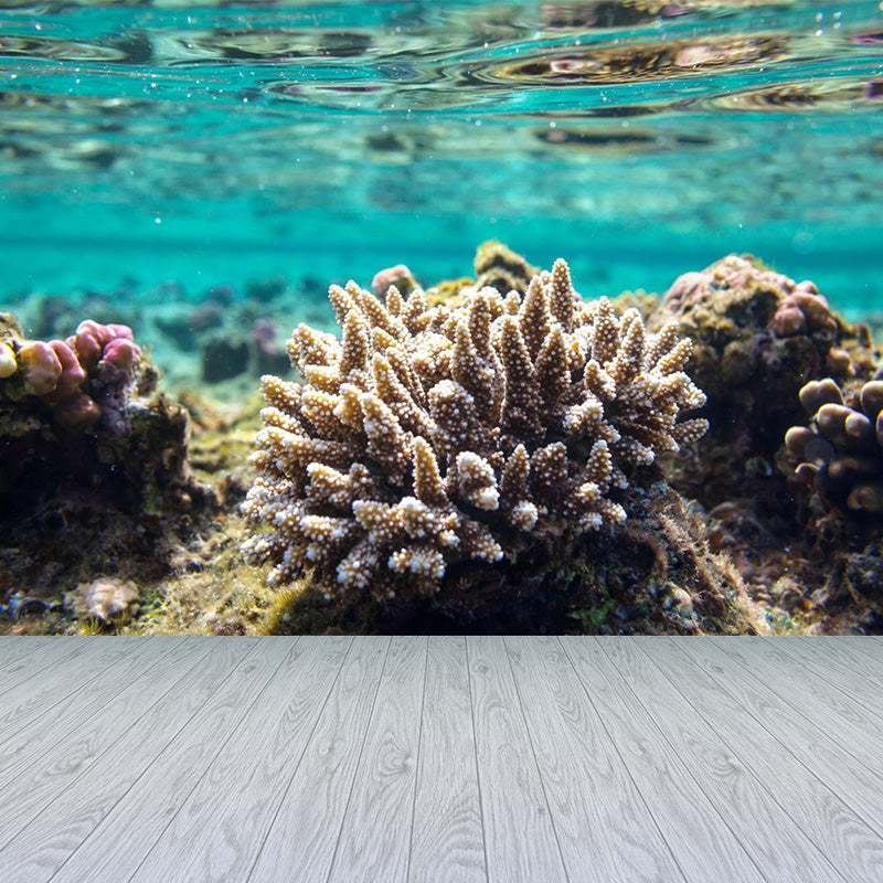 Bright Tropix Wall Paper Mural Large World Beneath the Ocean Surface Wall Decor for Room