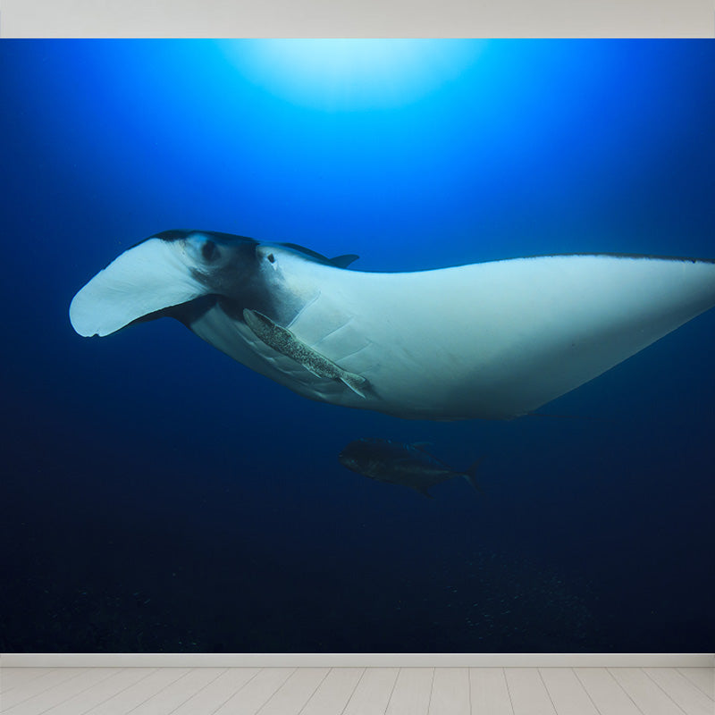 Bright Tropix Wall Paper Mural Large World Beneath the Ocean Surface Wall Decor for Room