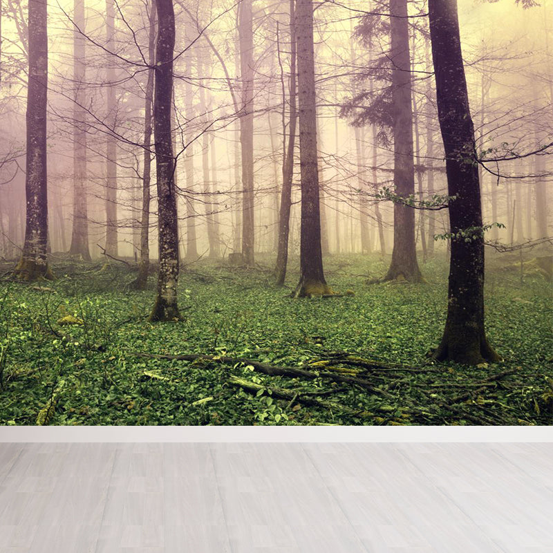 Big Foggy Forest Mural Decal Modern Mysterious Scenery Wall Covering in Pastel Color