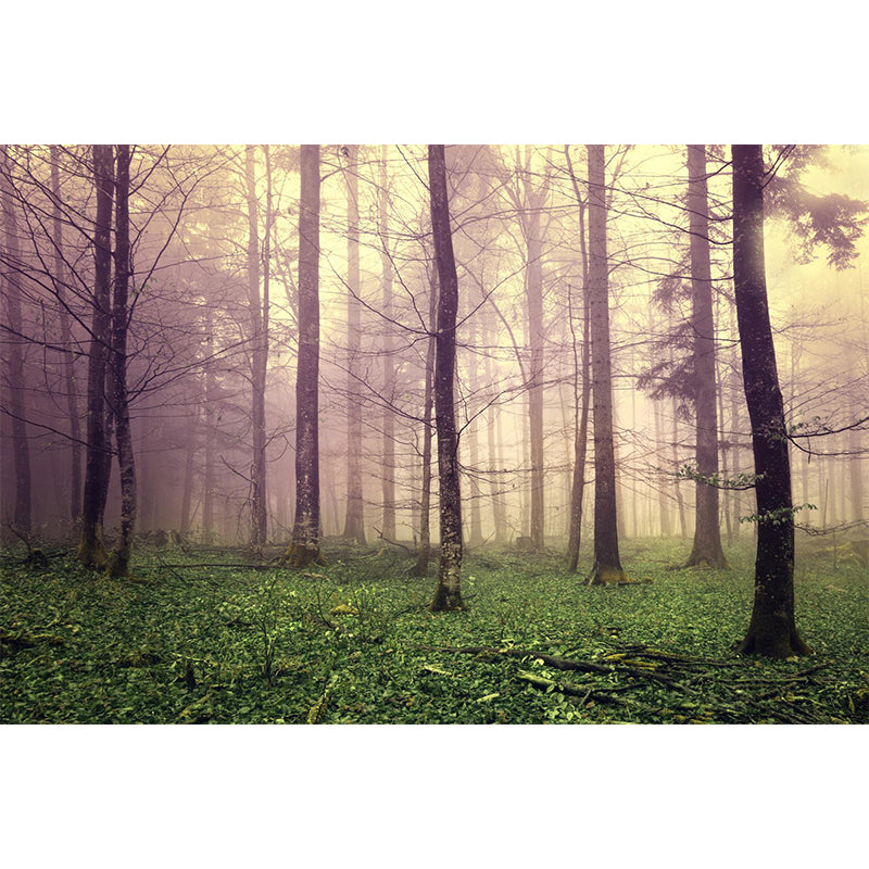 Big Foggy Forest Mural Decal Modern Mysterious Scenery Wall Covering in Pastel Color