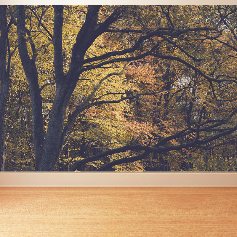 Big Foggy Forest Mural Decal Modern Mysterious Scenery Wall Covering in Pastel Color