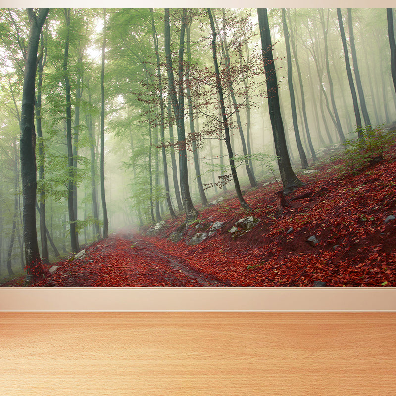 Papier peint mural de paysage de forêt brumeuse, décoration murale intissé moderne de couleur douce pour la maison