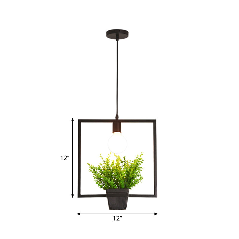 Single Plant Pendant Lighting Fixture Rustic Triangle/Square/Oval Frame Iron Hanging Lamp in Black