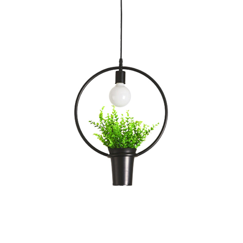 Single Plant Pendant Lighting Fixture Rustic Triangle/Square/Oval Frame Iron Hanging Lamp in Black