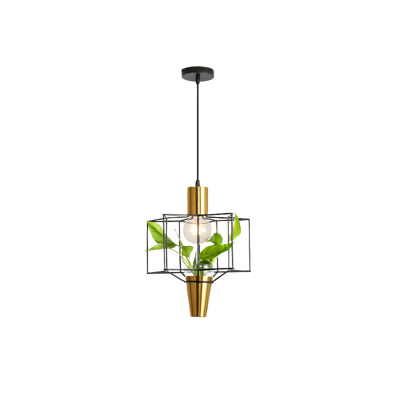 Iron Gold Finish Drop Pendant Triangle/Diamond/Oval 1-Light Industrial Suspension Lighting with Plant Container