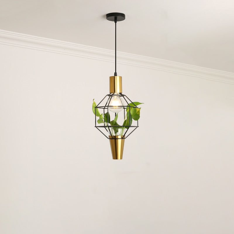 Iron Gold Finish Drop Pendant Triangle/Diamond/Oval 1-Light Industrial Suspension Lighting with Plant Container