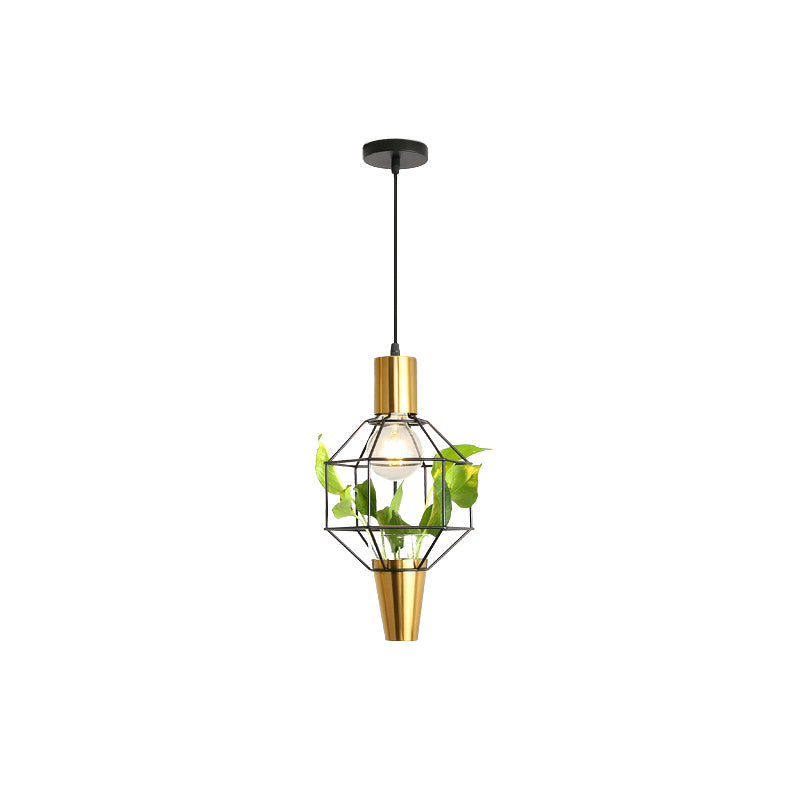 Iron Gold Finish Drop Pendant Triangle/Diamond/Oval 1-Light Industrial Suspension Lighting with Plant Container