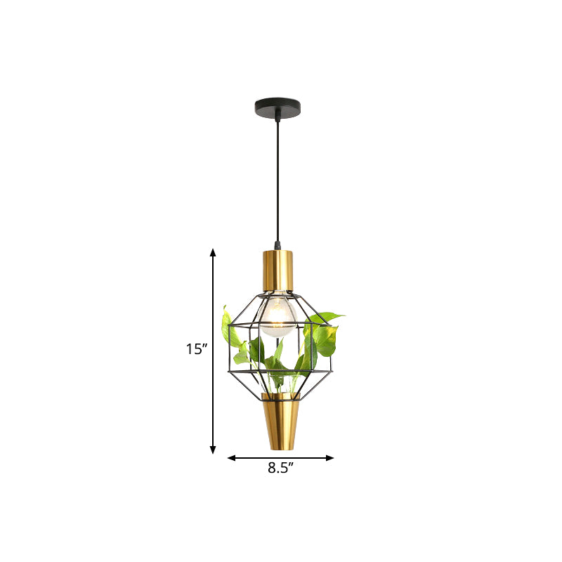 Iron Gold Finish Drop Pendant Triangle/Diamond/Oval 1-Light Industrial Suspension Lighting with Plant Container