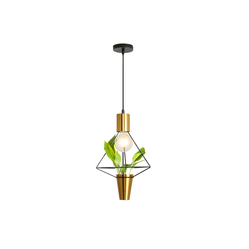Iron Gold Finish Drop Pendant Triangle/Diamond/Oval 1-Light Industrial Suspension Lighting with Plant Container