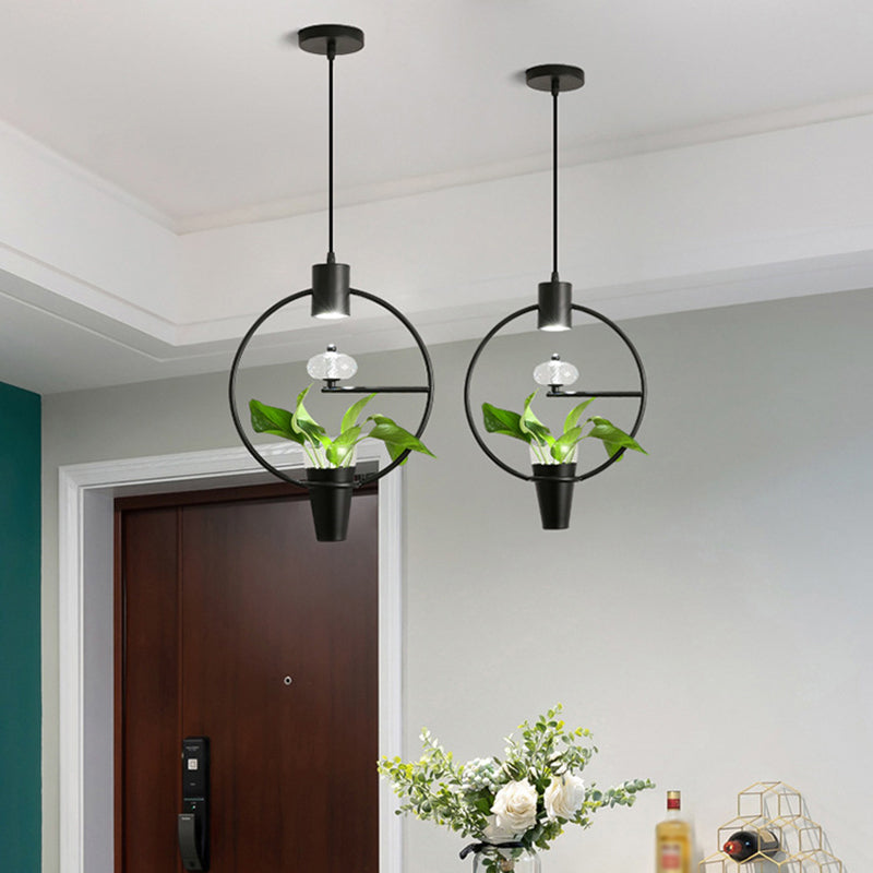Metal LED Pendulum Light Loft Black/Gold Circle/Oval/Rectangle Dining Room Pendant Lamp with Plant Container