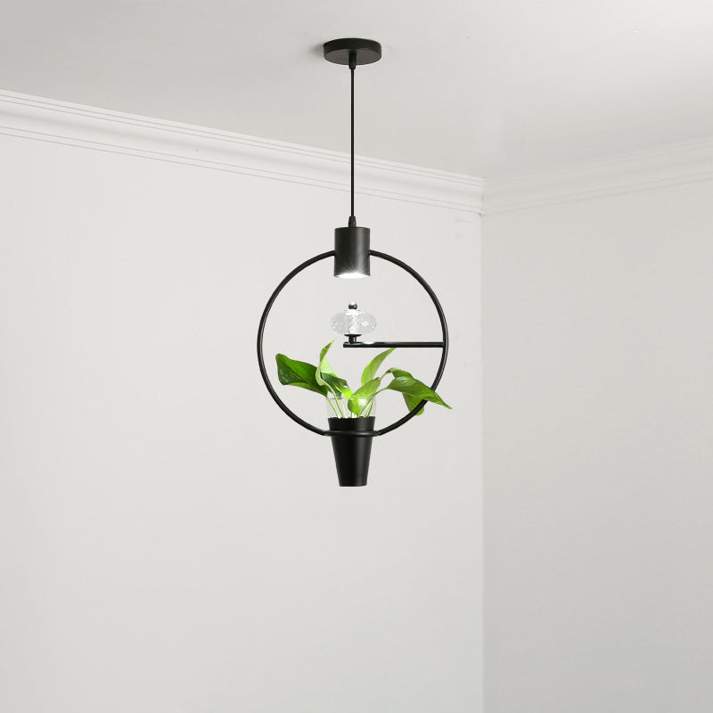 Metal LED Pendulum Light Loft Black/Gold Circle/Oval/Rectangle Dining Room Pendant Lamp with Plant Container