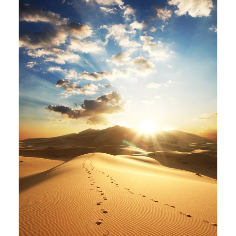 Desert with Footprint Wall Mural Modern Beautiful Wild Landscape Wall Decor in Yellow