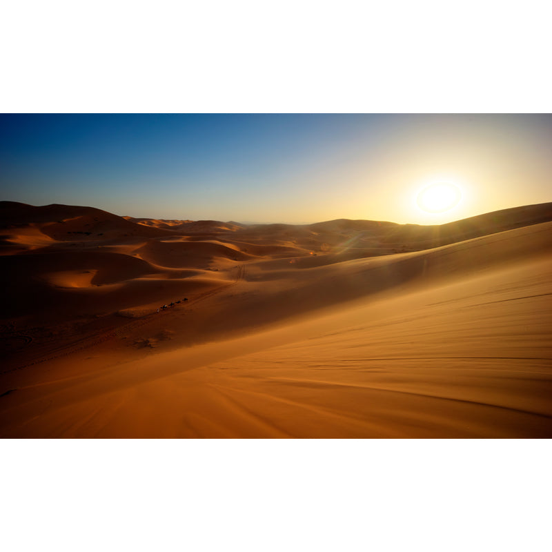 Modern Nightfall Desert View Mural Yellow Moisture Resistant Wall Art for Living Room