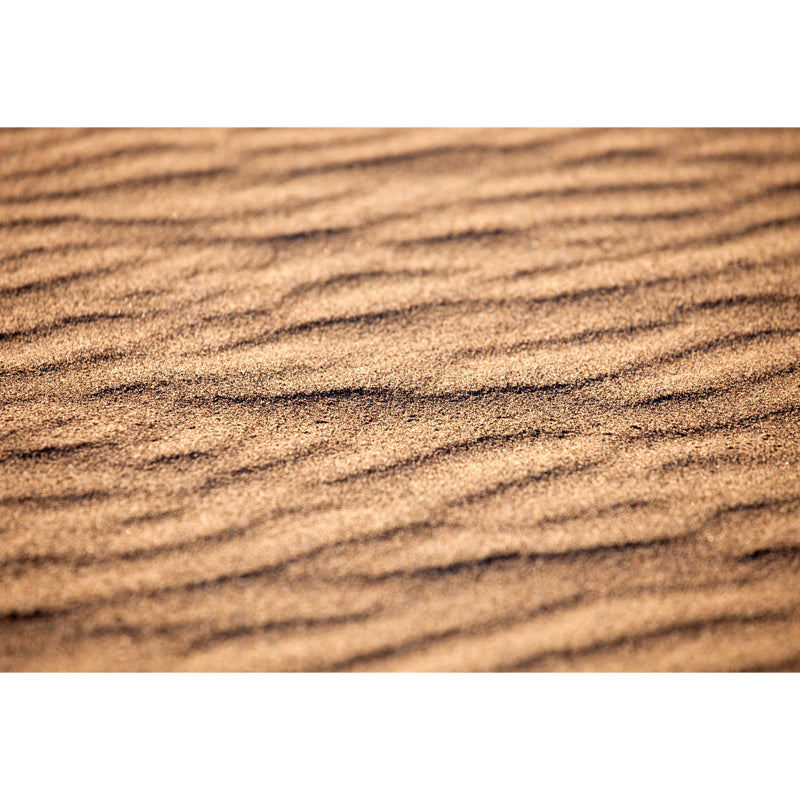 Large Size Desert Sand Mural Decal Stain-Resistant Modernist Bedroom Wall Decor in Yellow