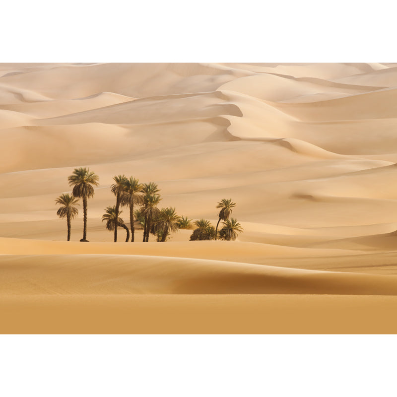 Huge Desert Palm Trees Mural Yellow Non-Woven Fabric Wall Decor, Waterproof, Custom Size