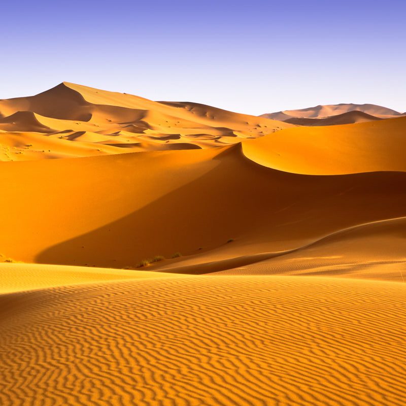 Yellow Sundown Sand Dune Mural Wallpaper Stain-Resistant Modernism Sitting Room Wall Decor