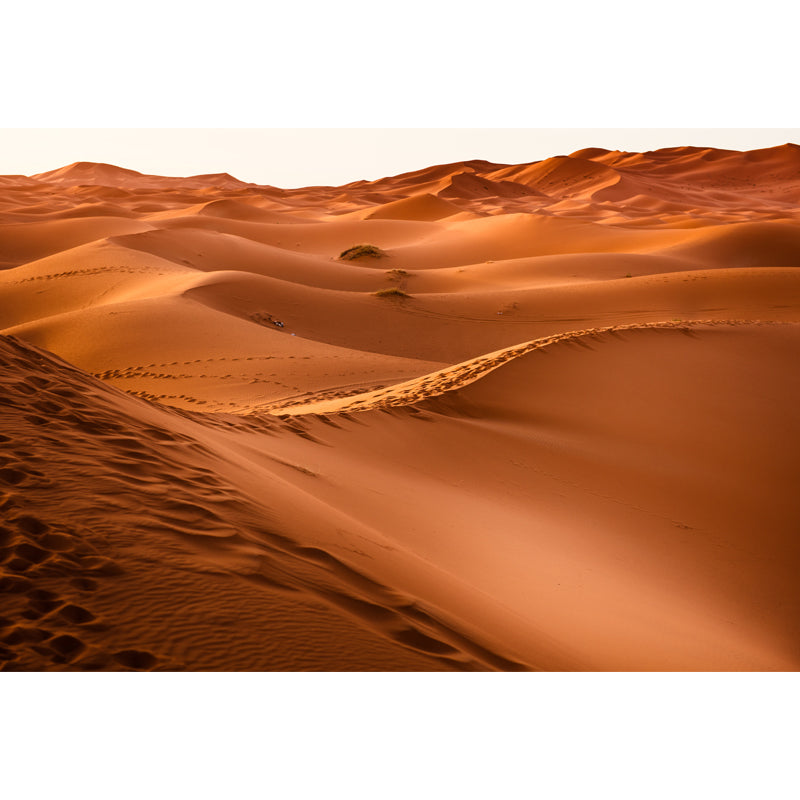 Modern Sahara Sand Dunes Mural Yellow Moisture Resistant Wall Decor for House Interior