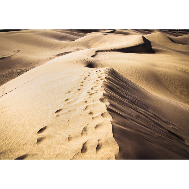 Photography Sand Dune Ridge Mural Wallpaper Large Wall Decor, Custom Size Available
