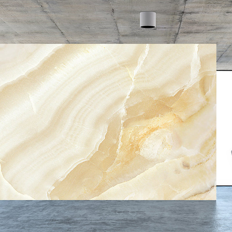 Light Color Abstract Print Mural Wallpaper Moisture-Proof Wall Art for Dining Room