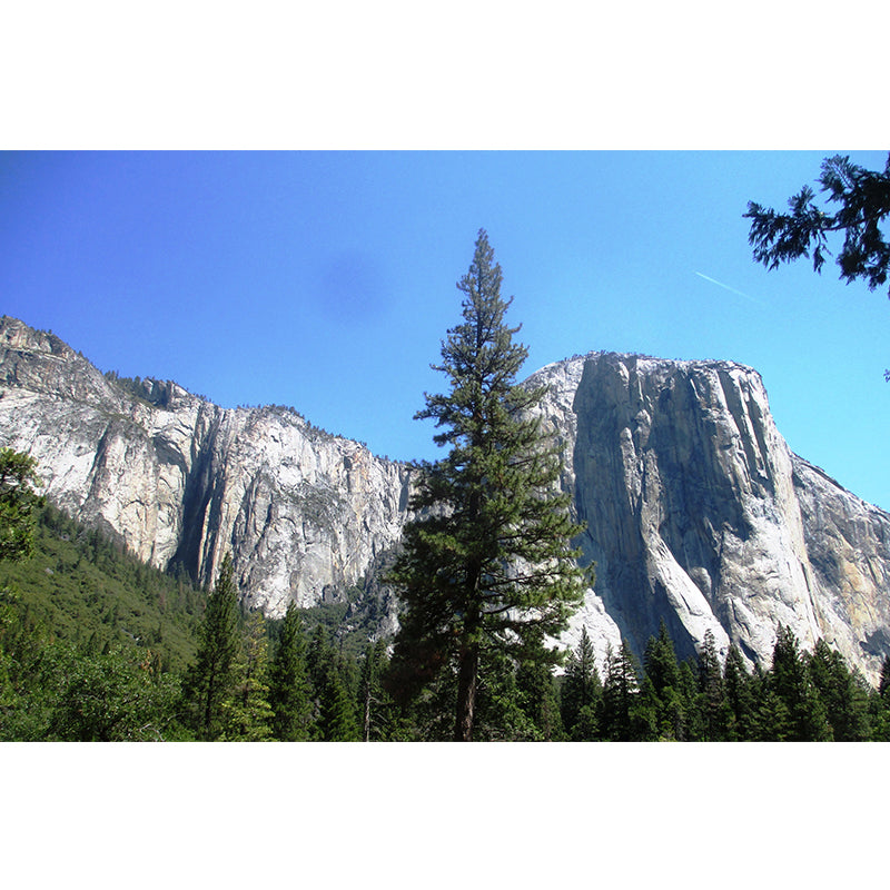 Big Mountain Landscape Wallpaper Mural Waterproofing Modern Living Room Wall Art