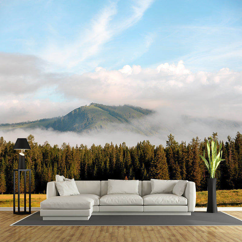 Nature Scenery Mountain Mural Decal Modern Smooth Wall Covering for House Interior